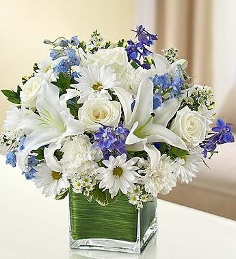 ホワイトティー Healing Tears - Blue & White | 95408 – Director Flowers