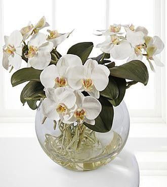 Silk Botanicals White Phalaenopsis Orchid